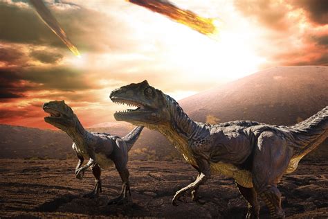 FAU | Dinosaurs’ Last Spring: Study Pinpoints Timing of Asteroid Impact