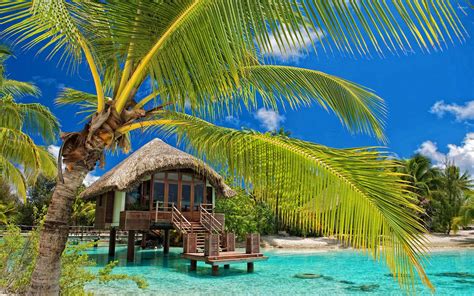 Caribbean Beach Hut Wallpaper - WallpaperSafari