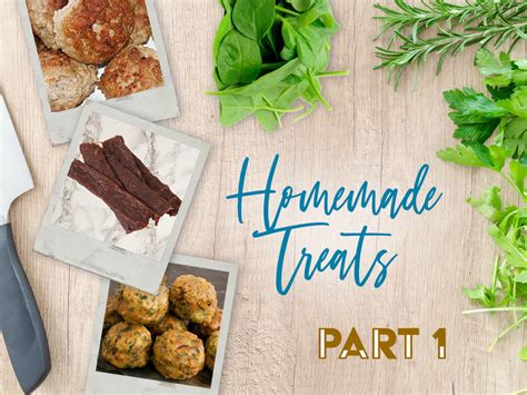 Homemade Treats For Your Diabetic Dog: Part 1 - PetTest by Advocate