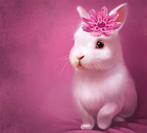 Anime Cool Bunny Rabbit Wallpapers - Wallpaper Cave