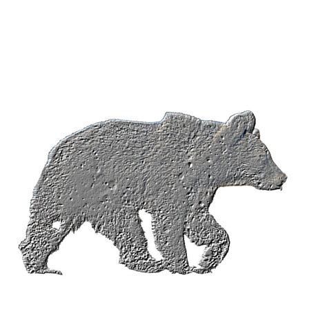 Silhouette of a Brown Bear on a White Background Stock Image - Image of ...