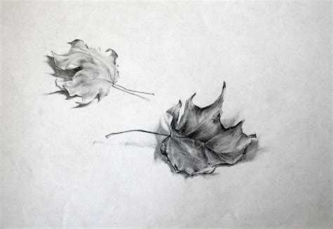 fall leaves pencil sketch | Çizim, Dövme fikirleri, Dövme