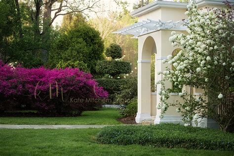 Digital Garden Backdrop for Photographers - Etsy