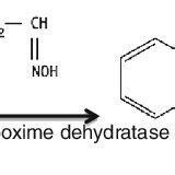 (PDF) Bacterial biosynthesis of indole-3-acetic acid