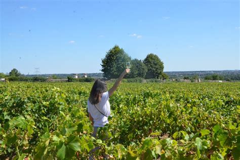 Loire-valley-vineyard-article-the-4-outstanding-regions-of-loire-valley