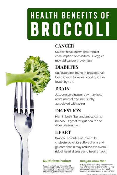 Health Benefits of Broccoli Infographic | HealthtoStyle