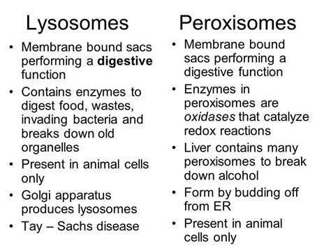 Peroxisome Structure