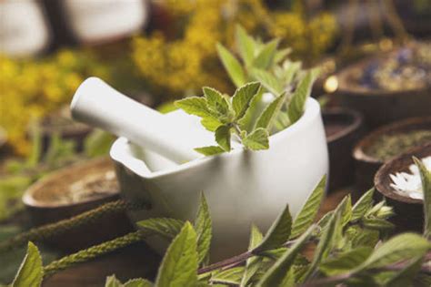 Are Herbal Remedies Safe And Effective For Anxiety?