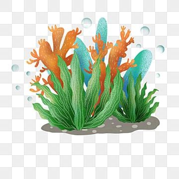 Ocean Plants Clipart