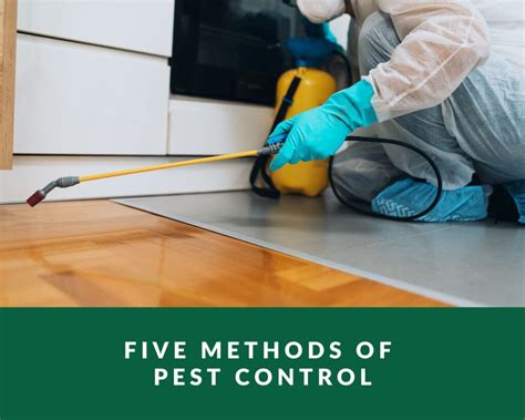 Five Methods of Pest Control - Zero Pest NG