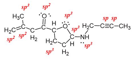 Hybridization Chemistry