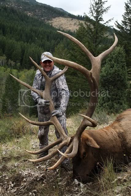 Colorado new record bull elk!