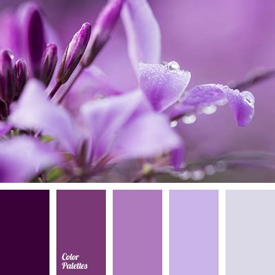 dark purple color | Color Palette Ideas