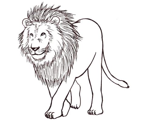 how to draw a lion easy - Stability Day-By-Day Account Image Bank