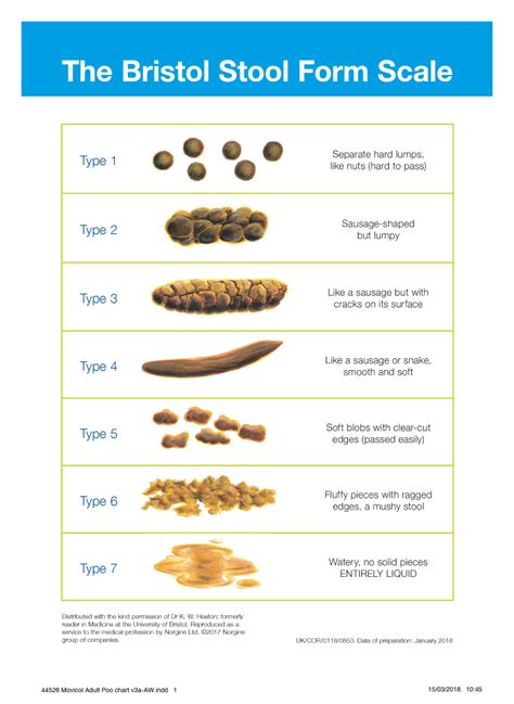 Best Bristol Stool Scale Explained of all time Learn more here | stoolz