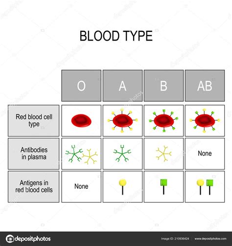 Different Blood Types Chart - Ponasa