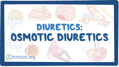 Osmotic diuretics: Video, Causes, & Meaning | Osmosis