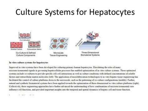 Tissue regeneration of the liver