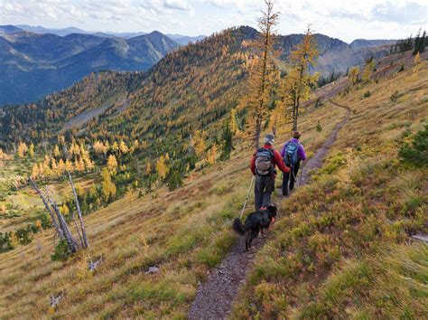 Fall for Whitefish | Whitefish Montana Lodging, Dining, and Official Visitor Information