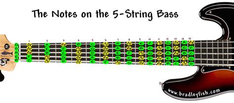 Diagram Of Bass Guitar Strings With Notes