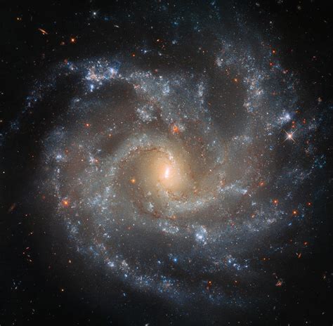 Hubble spots galaxy's dramatic details | Today's Image | EarthSky