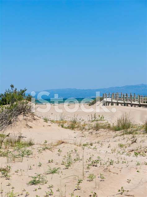 Walkway On The Beach. Ebro River Delta. Stock Photo | Royalty-Free | FreeImages