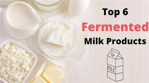 6 Fermented Milk Products - My Fermented Foods