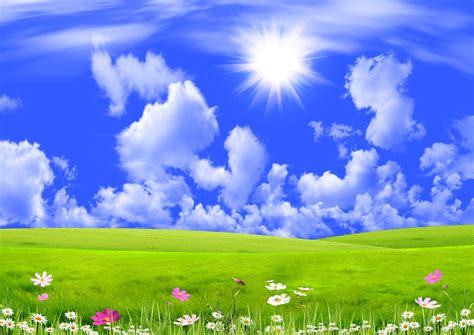 Nature Image, Spring Meadow Desktop Background, #4525