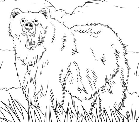 Alaskan Malamute Coloring Pages at GetColorings.com | Free printable ...