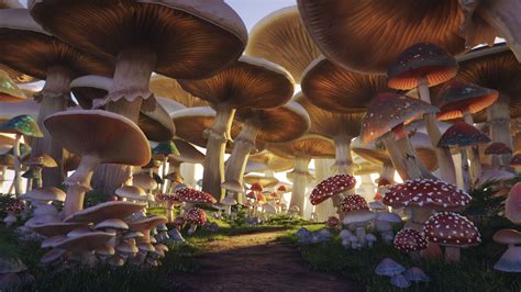 Magical Mushroom Forest Wallpaper - img-oak