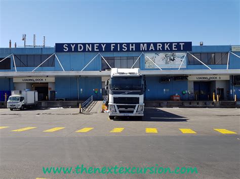 Visiting the Sydney Fish Market – The Next Excursion