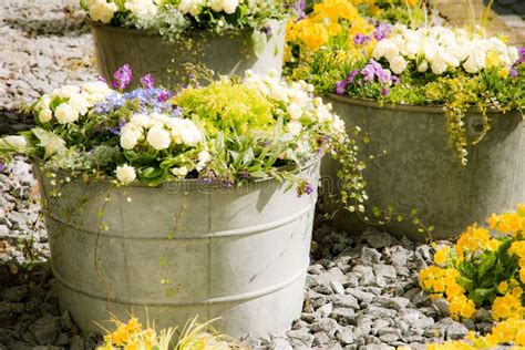 Vintage Tin Buckets Filled Spring Flowers Stock Photos - Free & Royalty ...