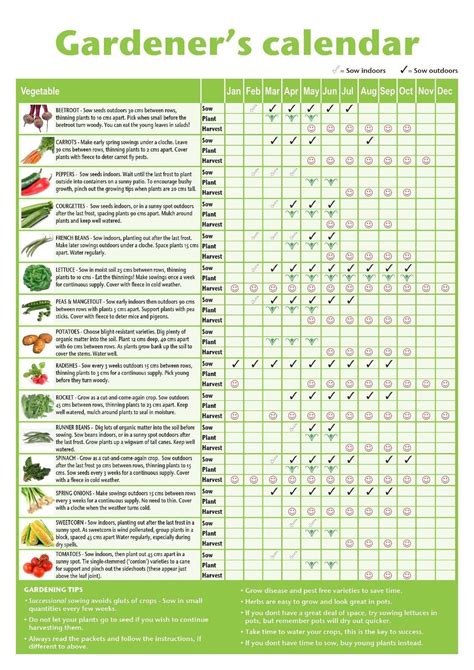 Arizona Vegetable Gardening Calendar