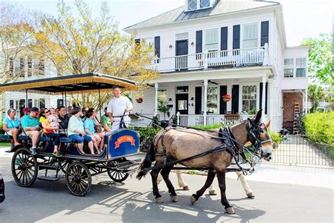 Daytime Horse-Drawn Carriage Sightseeing Tour Of Historic Charleston: Triphobo