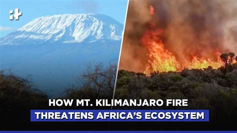 HakiPensheni: Tanzania: Fires Shaped Mount Kilimanjaro's Unique Environment. Now They Threaten It