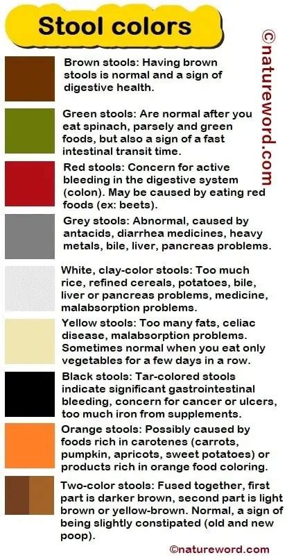 Possible Causes Of Light Colored Stool | Americanwarmoms.org