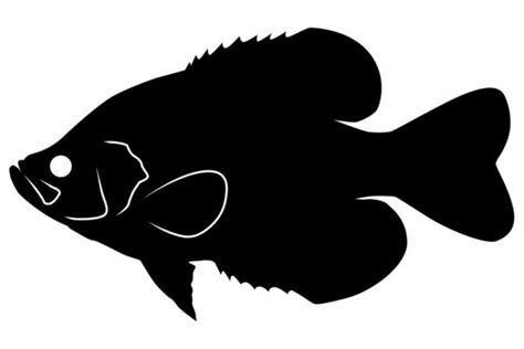 Black Crappie Silhouette Graphic by iDrawSilhouettes · Creative Fabrica