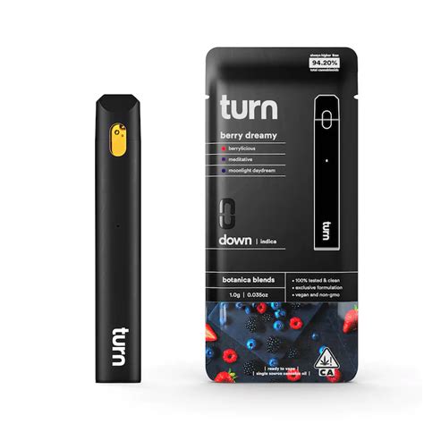 Turn - Indica Berry Dreamy Disposable Vape Pen 1G - The Kind Center