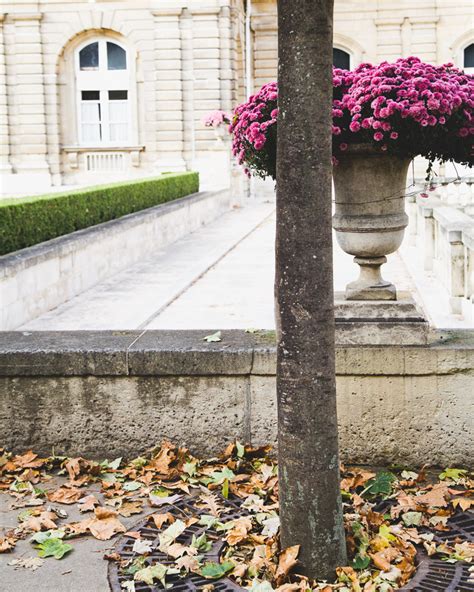 La Mémoire Vive: Autumn in Paris | Jardin du Luxembourg