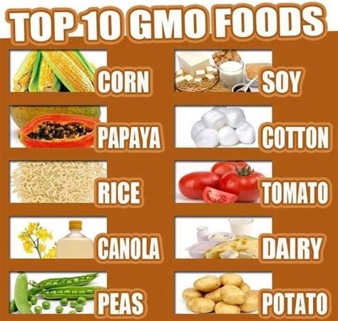 Top 10 GMO Foods Follow us @ http://pinterest.com/stylecraze/health-and-wellness/ for more ...