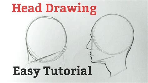 How To Draw A Human Head Side View