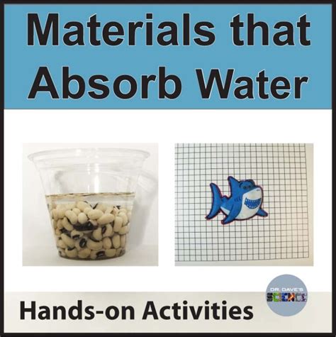 Absorbing Water Activities Will Beans Seeds Absorb Water Grow Sponges | Made By Teachers