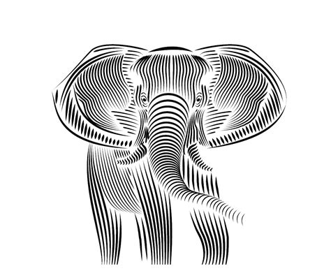 elephant line art vector file on Behance