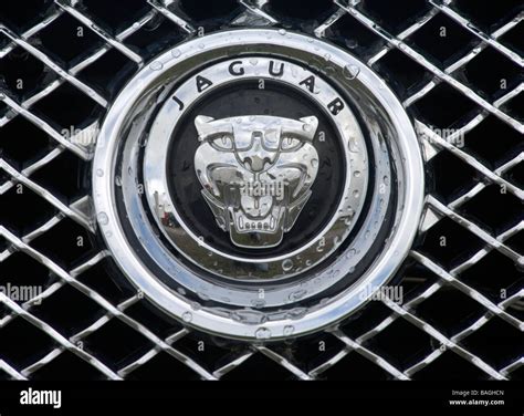 Jaguar car logo hi-res stock photography and images - Alamy