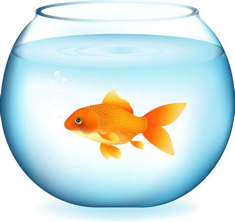 46++ Fish bowl clipart black and white info