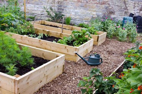 What's the Best Type of Wood for Raised Beds? - Food Gardening Network