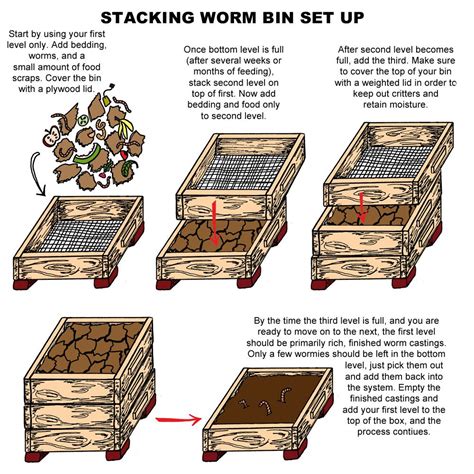 Diy Worm Farm | Examples and Forms