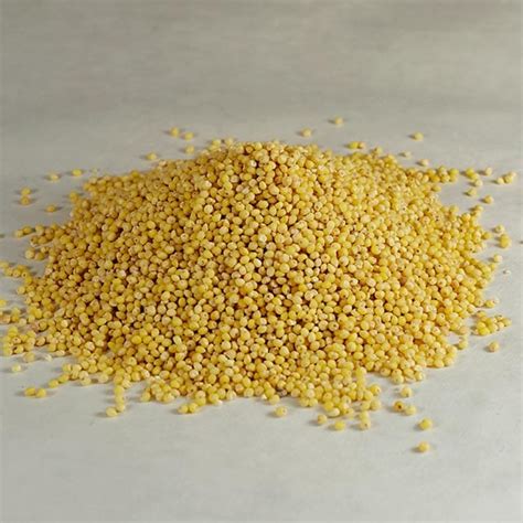 Central Milling Organic // Organic Whole Millet Berries