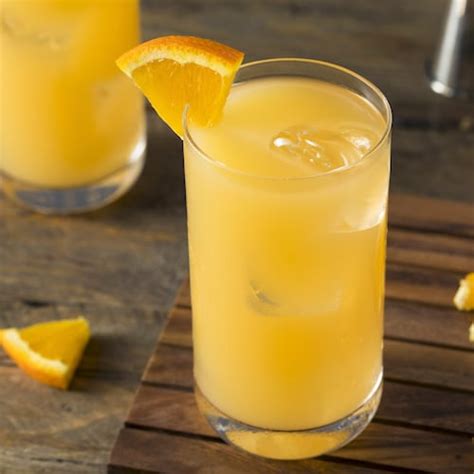 Gin And Orange Recipe | Absolut Drinks