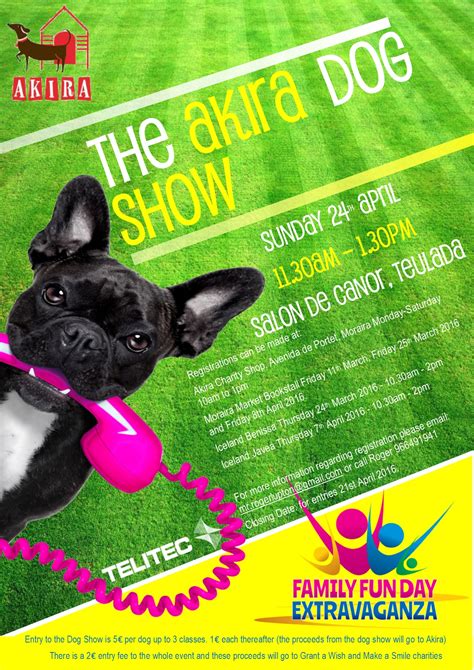 The Akira Dog Show - Mobile, Internet and UK TV in Spain